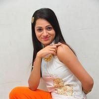 Reshma at 'Ee Rojullo' Movie Logo Launch - Pictures | Picture 117760